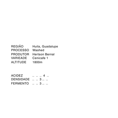 COLOMBIA BERNAL / WASHED AEROBIC