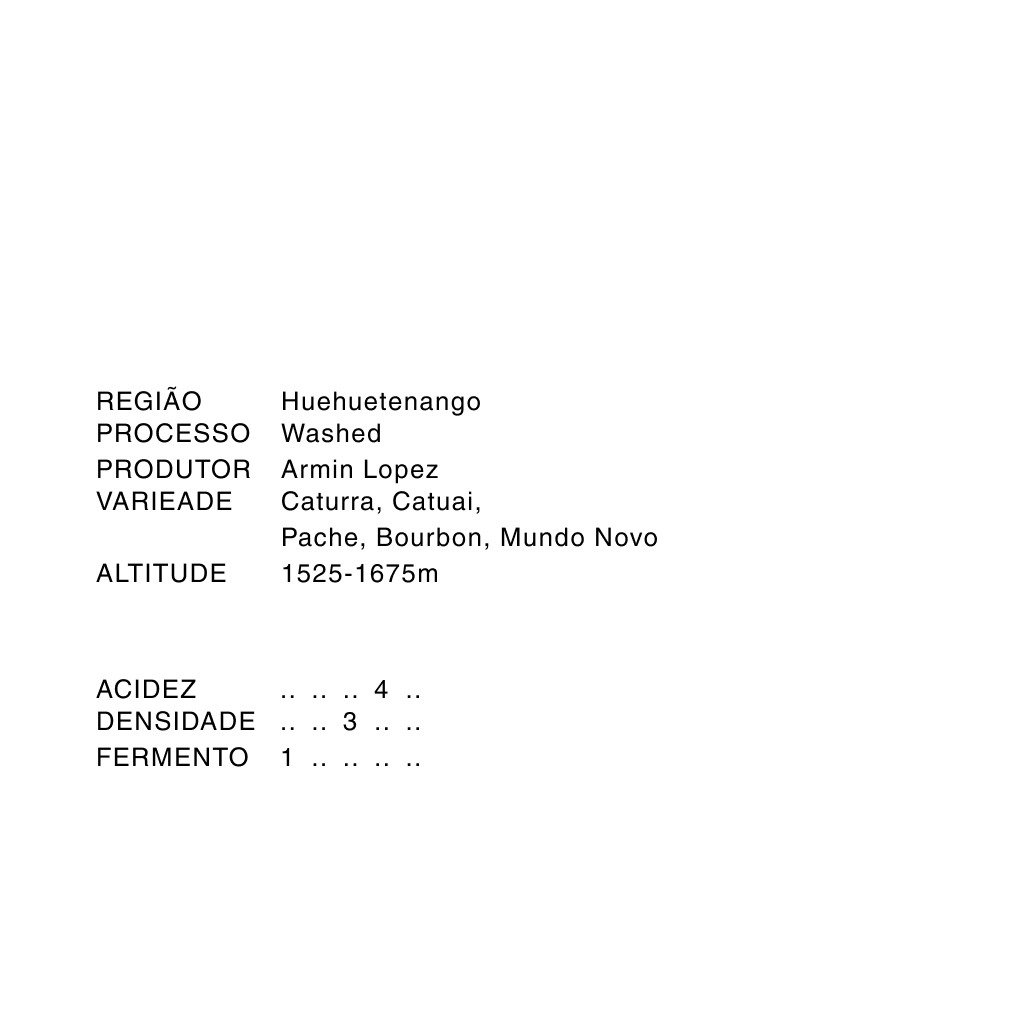 GUATEMALA LOS COLES / WASHED
